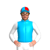 Jockey Silk