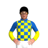 Jockey Silk