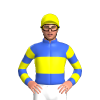 Jockey Silk