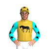 Jockey Silk