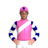 Jockey Silk