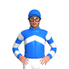 Jockey Silk