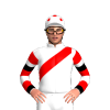 Jockey Silk