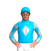 Jockey Silk