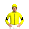 Jockey Silk