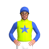 Jockey Silk