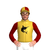 Jockey Silk