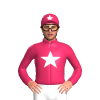 Jockey Silk