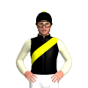 Jockey Silk