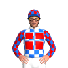 Jockey Silk