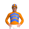 Jockey Silk