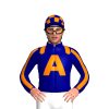 Jockey Silk