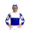 Jockey Silk