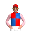 Jockey Silk