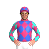 Jockey Silk