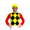 Jockey Silk
