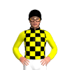 Jockey Silk