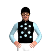 Jockey Silk
