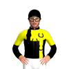 Jockey Silk