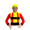 Jockey Silk