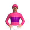Jockey Silk