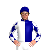 Jockey Silk