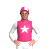 Jockey Silk