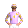 Jockey Silk