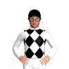 Jockey Silk