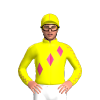 Jockey Silk
