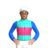 Jockey Silk
