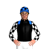 Jockey Silk