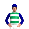 Jockey Silk