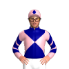 Jockey Silk