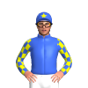Jockey Silk