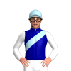 Jockey Silk