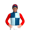 Jockey Silk