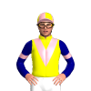 Jockey Silk