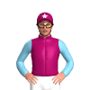Jockey Silk