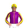 Jockey Silk