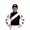 Jockey Silk