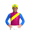 Jockey Silk