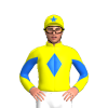 Jockey Silk