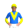 Jockey Silk