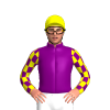 PURPLE, PURPLE SLEEVES, YELLOW CHECKED , YELLOW CAP