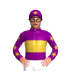 PURPLE,GOLD BAND,PURPLE SLEEVES,GOLD STARS,PURPLE CAP,GOLD STAR