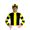 BLACK, YELLOW STRIPE, COLLAR, HOOPS SLEEVES, STRIPES CAP