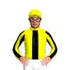 YELLOW,BLACK STRIPE, STRIPES SLEEVES