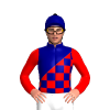 RED, NAVY CHECKS, NAVY DIAGONAL HALVES, RED SLEEVES, NAVY CAP, COLLAR ,BLACK POM POM