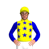 YELLOW , MEDIUM BLUE STARS , SLEEVES